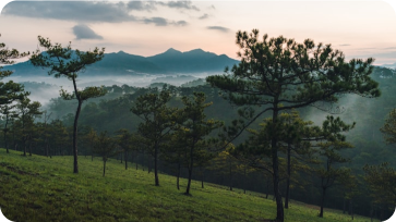 Đà Lạt